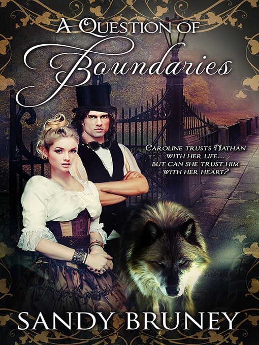 Cover image for A Question of Boundaries